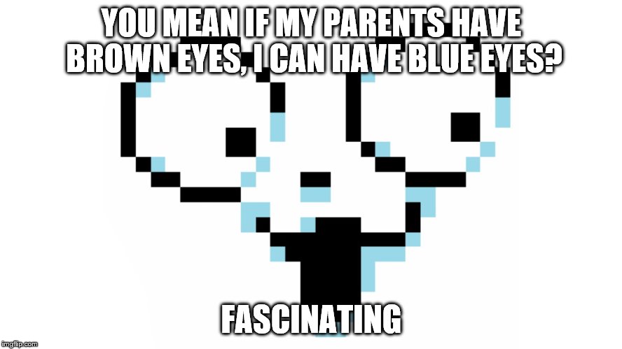  YOU MEAN IF MY PARENTS HAVE BROWN EYES, I CAN HAVE BLUE EYES? FASCINATING | image tagged in fascinating,temmie,genetics,eyes | made w/ Imgflip meme maker