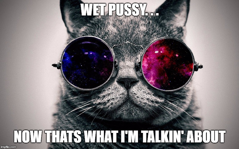 WET PUSSY. . . NOW THATS WHAT I'M TALKIN' ABOUT | made w/ Imgflip meme maker