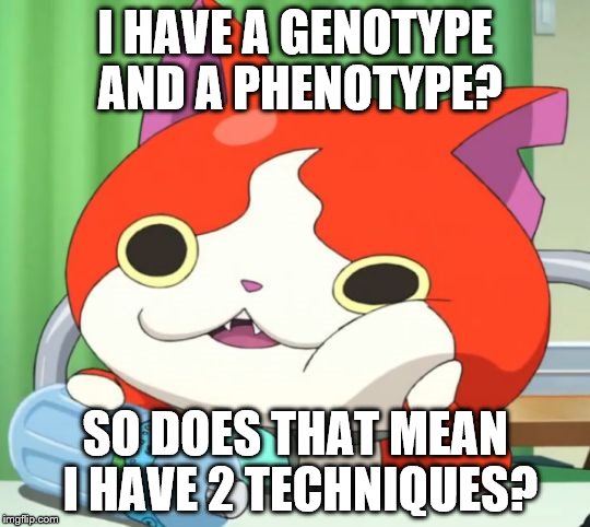 Interested Jibanyan | I HAVE A GENOTYPE AND A PHENOTYPE? SO DOES THAT MEAN I HAVE 2 TECHNIQUES? | image tagged in interested jibanyan,genotype,phenotype,technique,cat | made w/ Imgflip meme maker