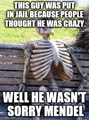 Waiting Skeleton | THIS GUY WAS PUT IN JAIL BECAUSE PEOPLE THOUGHT HE WAS CRAZY. WELL HE WASN'T SORRY MENDEL | image tagged in memes,waiting skeleton | made w/ Imgflip meme maker