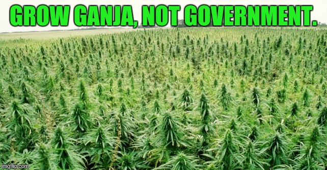 Grow Ganja not government |  GROW GANJA, NOT GOVERNMENT. | image tagged in ganja,cannabis,not government,grow,libertarian | made w/ Imgflip meme maker