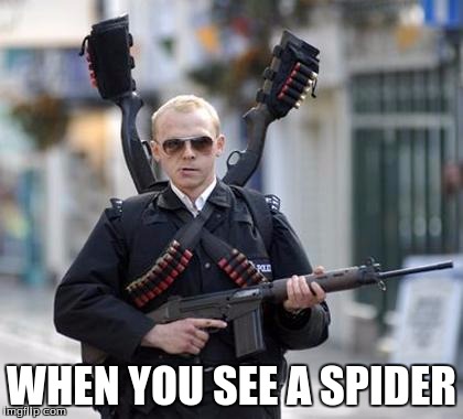 guy walking with shotguns movie | WHEN YOU SEE A SPIDER | image tagged in guy walking with shotguns movie | made w/ Imgflip meme maker