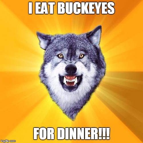 Courage Wolf Meme | I EAT BUCKEYES; FOR DINNER!!! | image tagged in memes,courage wolf | made w/ Imgflip meme maker