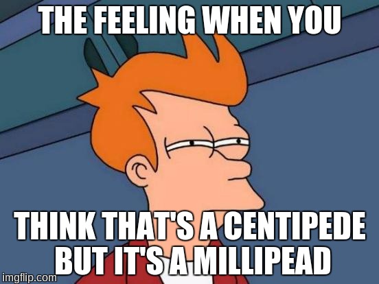 Futurama Fry Meme | THE FEELING WHEN YOU; THINK THAT'S A CENTIPEDE BUT IT'S A MILLIPEAD | image tagged in memes,futurama fry | made w/ Imgflip meme maker