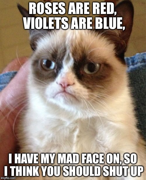 Grumpy Cat | ROSES ARE RED, VIOLETS ARE BLUE, I HAVE MY MAD FACE ON, SO I THINK YOU SHOULD SHUT UP | image tagged in memes,grumpy cat | made w/ Imgflip meme maker