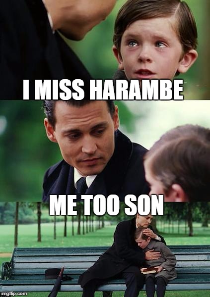Finding Neverland Meme | I MISS HARAMBE; ME TOO SON | image tagged in memes,finding neverland | made w/ Imgflip meme maker