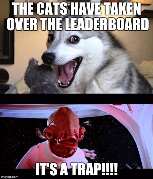 Where's the Dog memes? | THE CATS HAVE TAKEN OVER THE LEADERBOARD; IT'S A TRAP!!!! | image tagged in it's a trap,dog,memes,funny | made w/ Imgflip meme maker