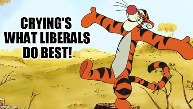 CRYING'S WHAT LIBERALS DO BEST! | made w/ Imgflip meme maker