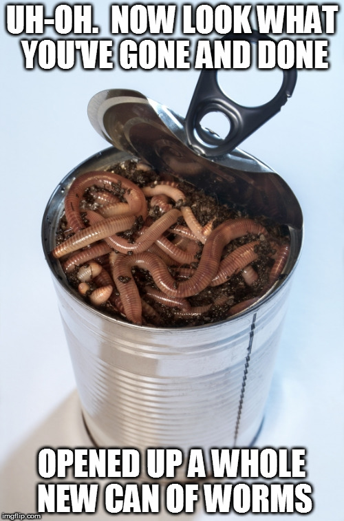 Can 'O' Worms | UH-OH.  NOW LOOK WHAT YOU'VE GONE AND DONE; OPENED UP A WHOLE NEW CAN OF WORMS | image tagged in can 'o' worms | made w/ Imgflip meme maker