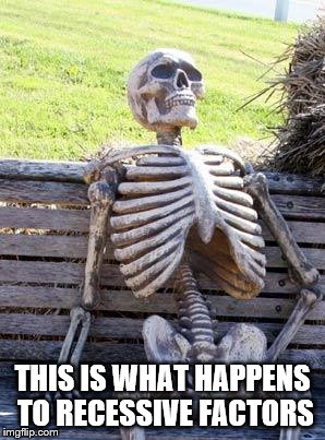 Waiting Skeleton | THIS IS WHAT HAPPENS TO RECESSIVE FACTORS | image tagged in memes,waiting skeleton,factors,recessive | made w/ Imgflip meme maker