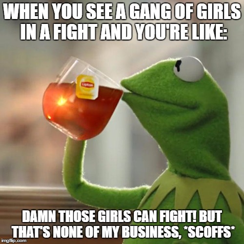 But That's None Of My Business | WHEN YOU SEE A GANG OF GIRLS IN A FIGHT AND YOU'RE LIKE:; DAMN THOSE GIRLS CAN FIGHT! BUT THAT'S NONE OF MY BUSINESS, *SCOFFS* | image tagged in memes,but thats none of my business,kermit the frog | made w/ Imgflip meme maker