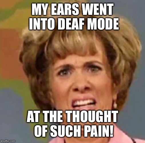 MY EARS WENT INTO DEAF MODE AT THE THOUGHT OF SUCH PAIN! | made w/ Imgflip meme maker