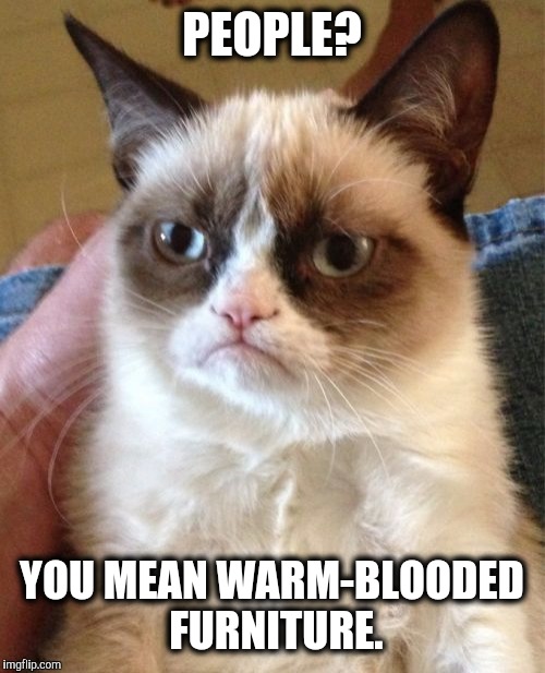 How my cats view me | PEOPLE? YOU MEAN WARM-BLOODED FURNITURE. | image tagged in memes,grumpy cat | made w/ Imgflip meme maker