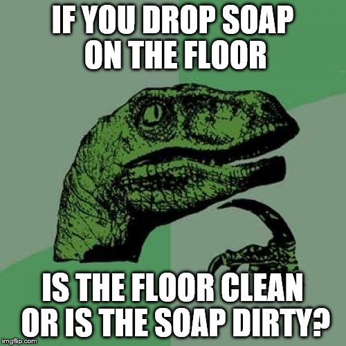 Don't Drop The Soap | IF YOU DROP SOAP ON THE FLOOR; IS THE FLOOR CLEAN OR IS THE SOAP DIRTY? | image tagged in memes,philosoraptor,what is life,trippy,question,don't drop the soap | made w/ Imgflip meme maker