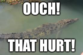 OUCH! THAT HURT! | made w/ Imgflip meme maker