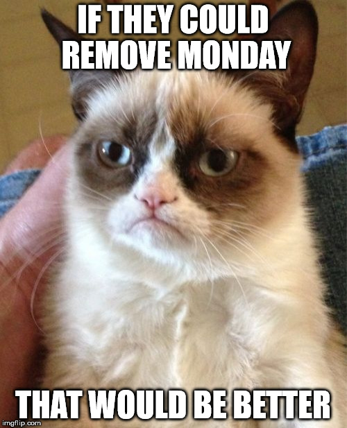 Grumpy Cat Meme | IF THEY COULD REMOVE MONDAY THAT WOULD BE BETTER | image tagged in memes,grumpy cat | made w/ Imgflip meme maker