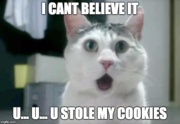 OMG Cat Meme | I CANT BELIEVE IT; U... U... U STOLE MY COOKIES | image tagged in memes,omg cat | made w/ Imgflip meme maker