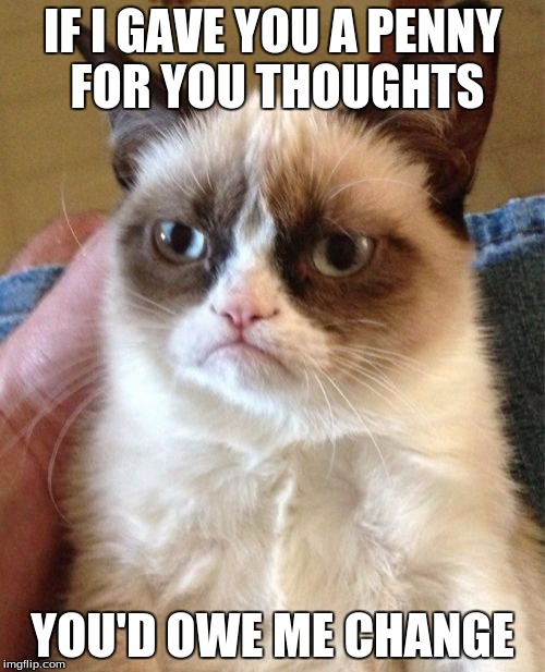 Grumpy Cat Meme | IF I GAVE YOU A PENNY FOR YOU THOUGHTS; YOU'D OWE ME CHANGE | image tagged in memes,grumpy cat | made w/ Imgflip meme maker