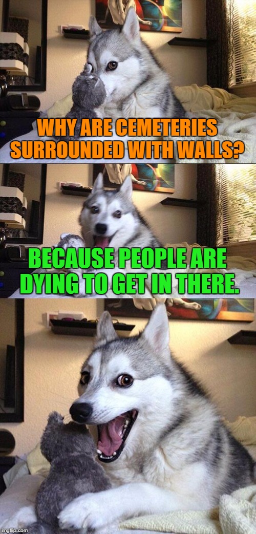 Why are cemeteries surrounded with walls? | WHY ARE CEMETERIES SURROUNDED WITH WALLS? BECAUSE PEOPLE ARE DYING TO GET IN THERE. | image tagged in memes,bad pun dog,funny,humor,funny memes,cemetery | made w/ Imgflip meme maker
