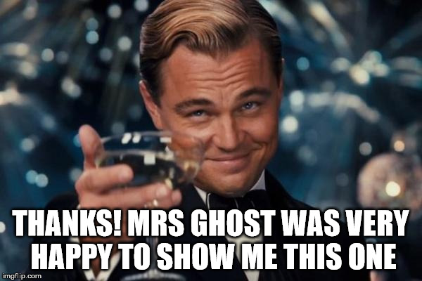 Leonardo Dicaprio Cheers Meme | THANKS! MRS GHOST WAS VERY HAPPY TO SHOW ME THIS ONE | image tagged in memes,leonardo dicaprio cheers | made w/ Imgflip meme maker