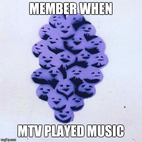 Member Berries | MEMBER WHEN; MTV PLAYED MUSIC | image tagged in member berries | made w/ Imgflip meme maker