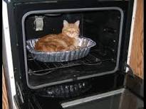 High Quality Cat in oven Blank Meme Template