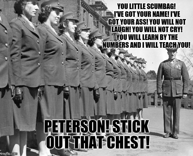 Full Metal Brassiers | YOU LITTLE SCUMBAG! I'VE GOT YOUR NAME! I'VE GOT YOUR ASS! YOU WILL NOT LAUGH! YOU WILL NOT CRY! YOU WILL LEARN BY THE NUMBERS AND I WILL TEACH YOU! PETERSON! STICK OUT THAT CHEST! | image tagged in full metal jacket | made w/ Imgflip meme maker