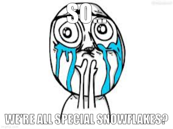 SO... WE'RE ALL SPECIAL SNOWFLAKES? | made w/ Imgflip meme maker