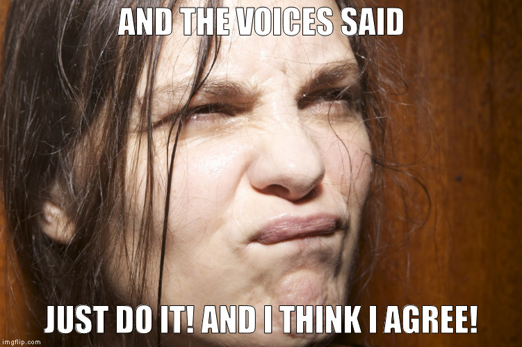 Impossibru Scout Niblett | AND THE VOICES SAID JUST DO IT! AND I THINK I AGREE! | image tagged in impossibru scout niblett | made w/ Imgflip meme maker