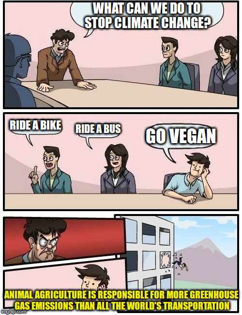 Go vegan! For the environment! | WHAT CAN WE DO TO STOP CLIMATE CHANGE? RIDE A BIKE; RIDE A BUS; GO VEGAN; ANIMAL AGRICULTURE IS RESPONSIBLE FOR MORE GREENHOUSE GAS EMISSIONS THAN ALL THE WORLD'S TRANSPORTATION | image tagged in memes,boardroom meeting suggestion,vegan,climate change | made w/ Imgflip meme maker