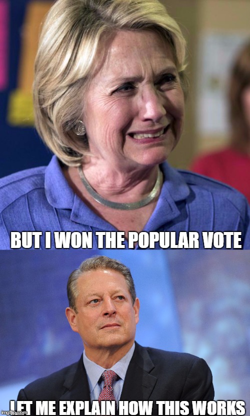 Hillary Won the Popular Vote | BUT I WON THE POPULAR VOTE; LET ME EXPLAIN HOW THIS WORKS | image tagged in hillary,election,funny,memes,al gore,popular vote | made w/ Imgflip meme maker