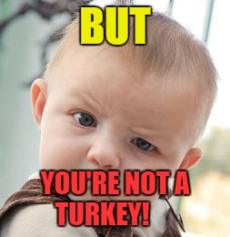 Skeptical Baby Meme | BUT YOU'RE NOT A TURKEY! | image tagged in memes,skeptical baby | made w/ Imgflip meme maker