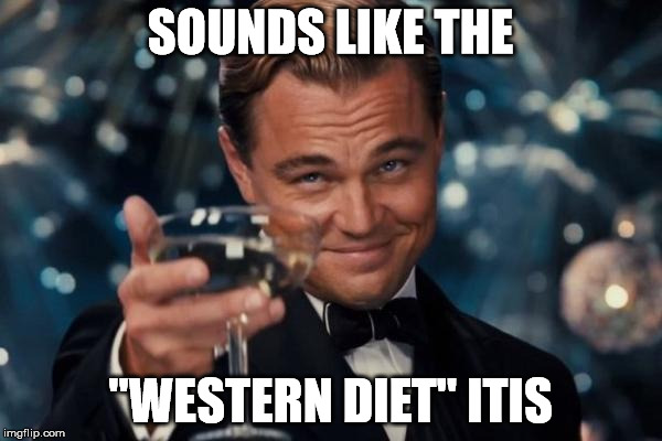 Leonardo Dicaprio Cheers Meme | SOUNDS LIKE THE "WESTERN DIET" ITIS | image tagged in memes,leonardo dicaprio cheers | made w/ Imgflip meme maker
