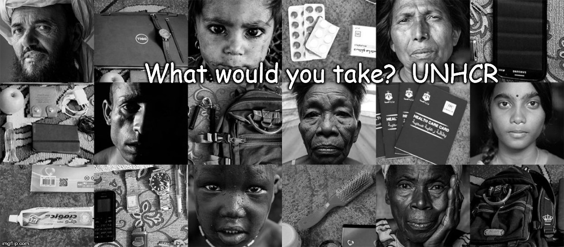 What would you take?  UNHCR | image tagged in unhrc | made w/ Imgflip meme maker