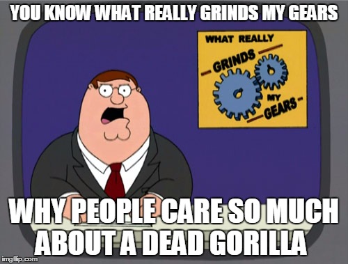 Cincinnati zoo news  | YOU KNOW WHAT REALLY GRINDS MY GEARS; WHY PEOPLE CARE SO MUCH ABOUT A DEAD GORILLA | image tagged in memes,peter griffin news | made w/ Imgflip meme maker