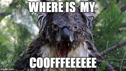 Angry Koala | WHERE IS  MY; COOFFFEEEEEE | image tagged in memes,angry koala | made w/ Imgflip meme maker