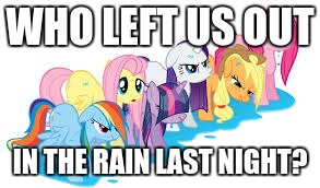 WHO LEFT US OUT; IN THE RAIN LAST NIGHT? | image tagged in wet ponies | made w/ Imgflip meme maker