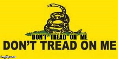 don't tread on me | DON'T   TREAD   ON   ME | image tagged in patriotism,patriotic | made w/ Imgflip meme maker