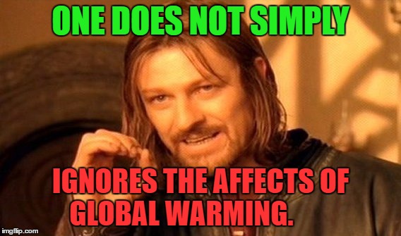 One Does Not Simply Meme | ONE DOES NOT SIMPLY IGNORES THE AFFECTS OF GLOBAL WARMING. | image tagged in memes,one does not simply | made w/ Imgflip meme maker