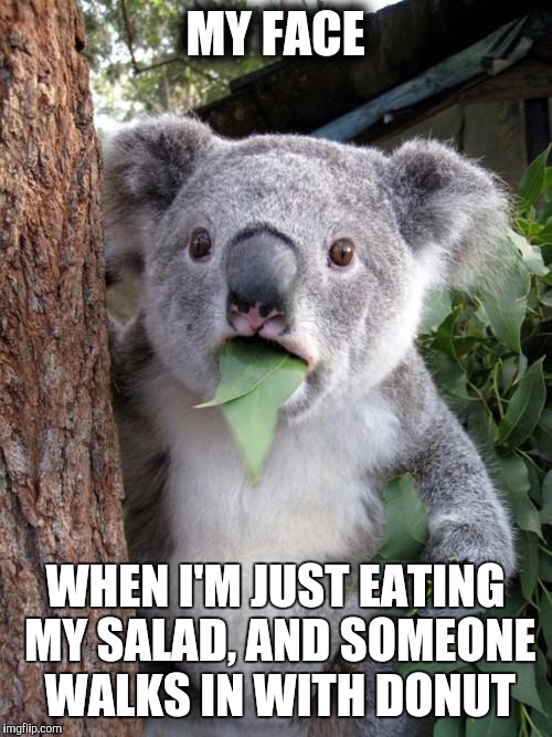 Surprised Koala | MY FACE; WHEN I'M JUST EATING MY SALAD, AND SOMEONE WALKS IN WITH DONUT | image tagged in memes,surprised koala | made w/ Imgflip meme maker