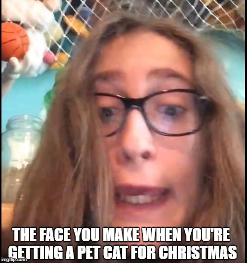 Danyerz Lanyerbs | THE FACE YOU MAKE WHEN YOU'RE GETTING A PET CAT FOR CHRISTMAS | image tagged in danyerz lanyerbs | made w/ Imgflip meme maker