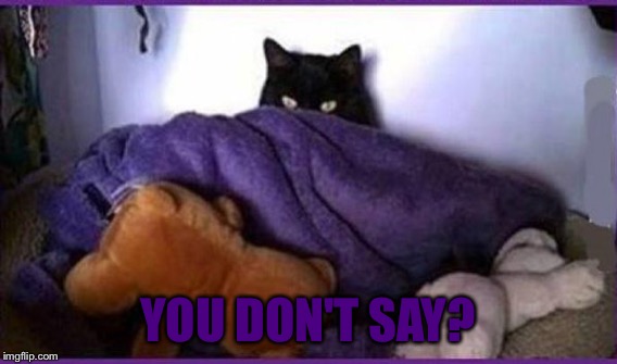 YOU DON'T SAY? | made w/ Imgflip meme maker