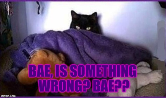 BAE, IS SOMETHING WRONG? BAE?? | made w/ Imgflip meme maker