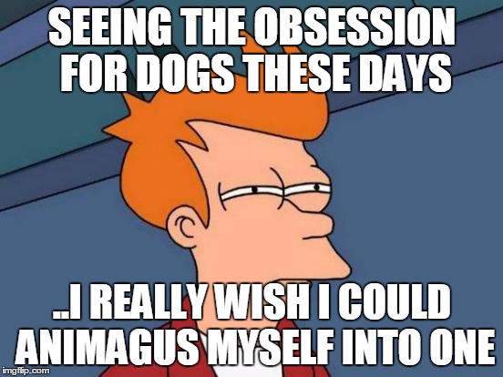Futurama Fry | SEEING THE OBSESSION FOR DOGS THESE DAYS; ..I REALLY WISH I COULD ANIMAGUS MYSELF INTO ONE | image tagged in memes,futurama fry | made w/ Imgflip meme maker