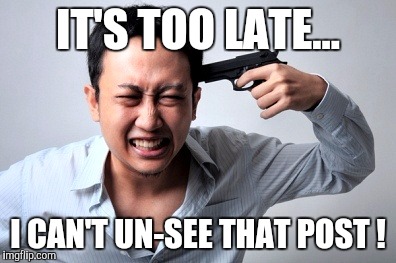 Too late ! | IT'S TOO LATE... I CAN'T UN-SEE THAT POST ! | image tagged in too late,cant,never saw it coming,memes | made w/ Imgflip meme maker