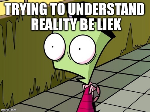 Zambeh Zim | TRYING TO UNDERSTAND REALITY BE LIEK | image tagged in zambeh zim | made w/ Imgflip meme maker