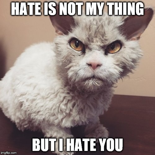 HATE IS NOT MY THING; BUT I HATE YOU | image tagged in hater | made w/ Imgflip meme maker
