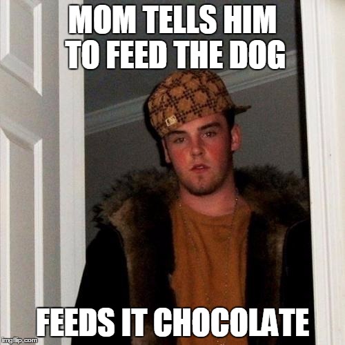 Scumbag Steve Meme | MOM TELLS HIM TO FEED THE DOG; FEEDS IT CHOCOLATE | image tagged in memes,scumbag steve | made w/ Imgflip meme maker