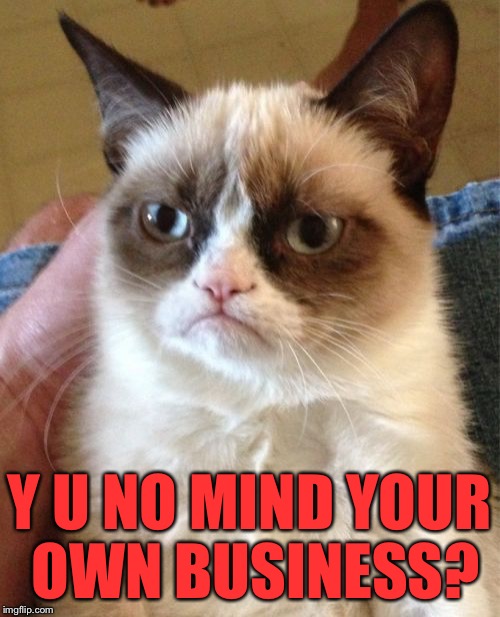 Grumpy Cat Meme | Y U NO MIND YOUR OWN BUSINESS? | image tagged in memes,grumpy cat | made w/ Imgflip meme maker