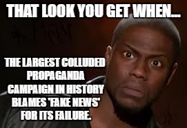 Kevin Hart | THAT LOOK YOU GET WHEN... THE LARGEST COLLUDED PROPAGANDA CAMPAIGN IN HISTORY BLAMES 'FAKE NEWS' FOR ITS FAILURE. | image tagged in memes,kevin hart the hell | made w/ Imgflip meme maker
